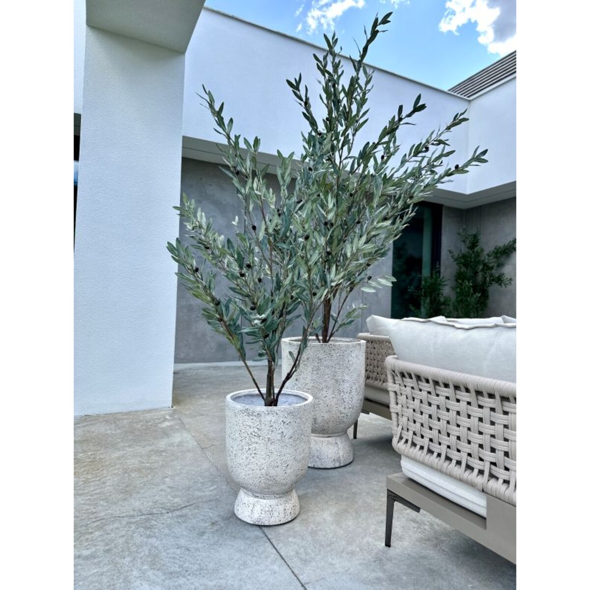 DUZE DRZEWKO OLIWNE SZARE 160 cm