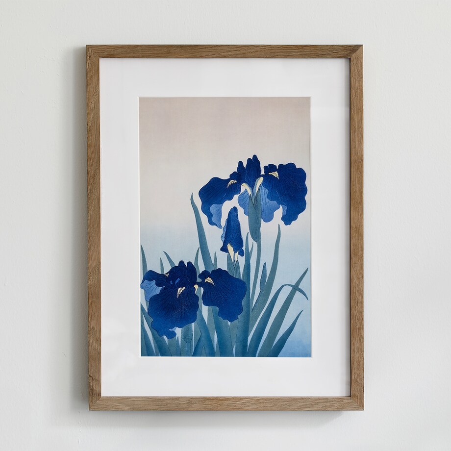 Plakat Niebieskie Irysy 21x30cm