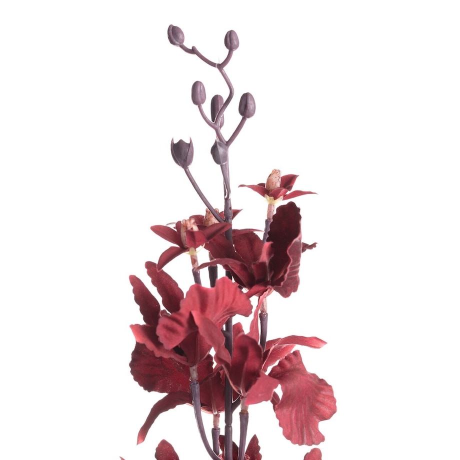 Orchidea 100cm maroon, 10 x 10 x 100 cm