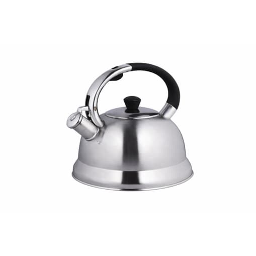 Czajnik na gaz stalowy z gwizdkiem duży 2.7L indukcja srebrny BRUNBESTE BB-2425