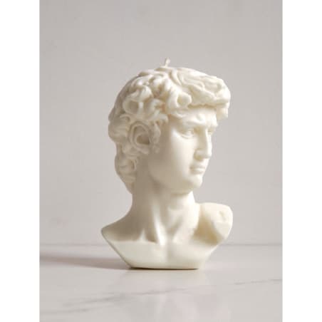 Świeca sojowa Dawid, 430 g, INSPIRA