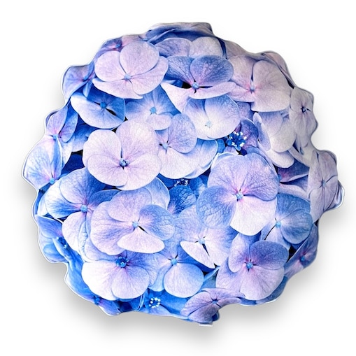 poduszka mała Hortensja blue