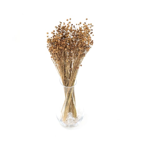 Suszony Len Naturalny