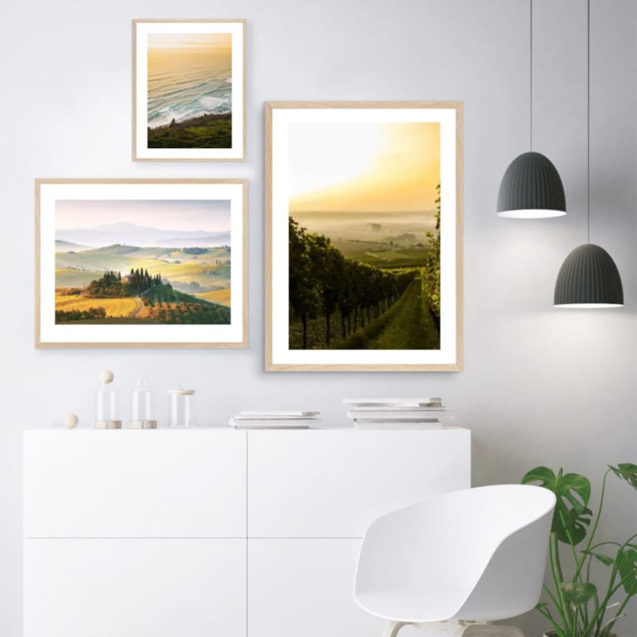 Poster Story, Plakat, Obraz - Winnice w Toskanii, wymiary 50 x 70 cm