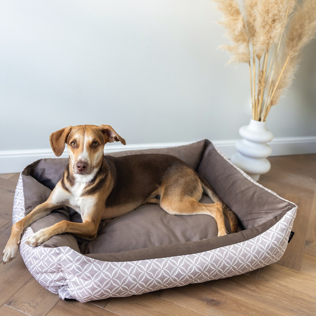 Stylowe legowisko dla kota OTTO, 60x40 cm, Brąz