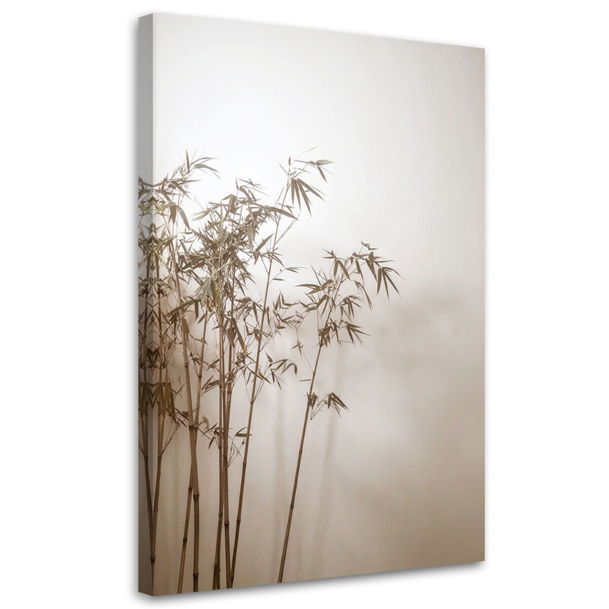 Obraz do salonu kuchni biura, Trawa pampasowa rośliny w beżu 70x100