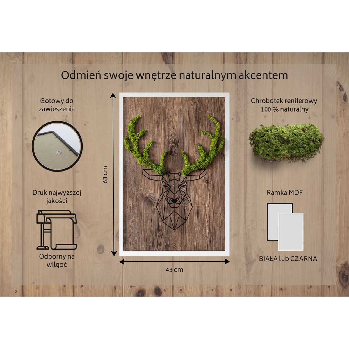 Obraz Głowa jelenia na drewnianym tle - mech chrobotek w białej ramie 40x60cm
