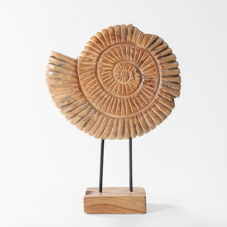 Dekoracja Fossil 45 cm, 34x10x45 cm