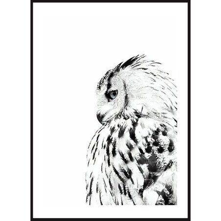 Poster Story, Plakat, Obraz - Sowa w Akwareli, wymiary 42 x 60 cm