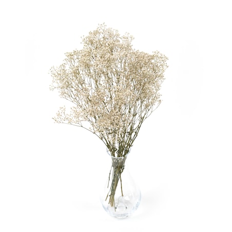 Stabilizowana Gipsówka Naturalna