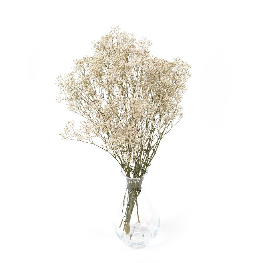 Stabilizowana Gipsówka Naturalna