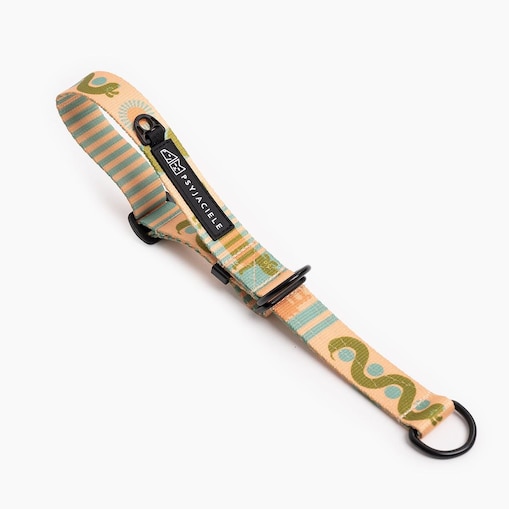 Obroża półzaciskowa dla psa lub kota "Piess" - Szerokość taśmy: 20mm, Rozmiar: S