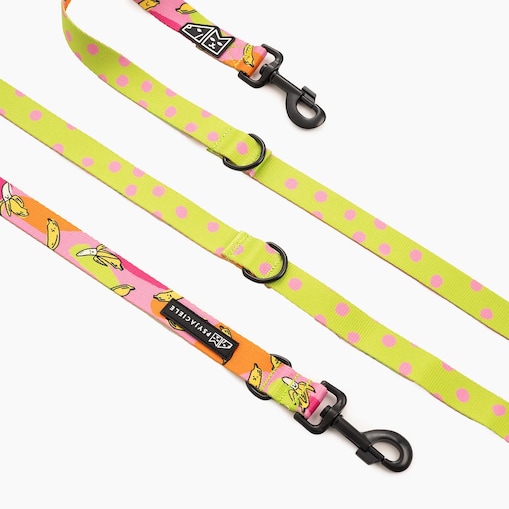 Smycz przepinana dla psa lub kota "Owoc falliczny 2.0" - Szerokość taśmy: 25mm, Rozmiar: M oraz Rodzaj: Duży karabinek