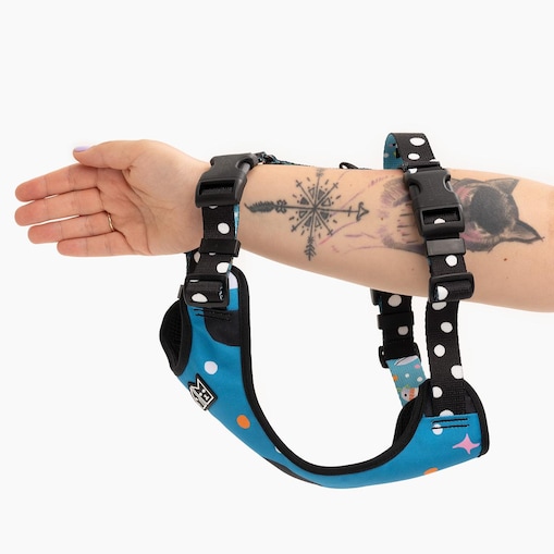 Szelki bezuciskowe Stay on "Łot de fok?" - Szerokość taśmy: 25mm, Rozmiar: L