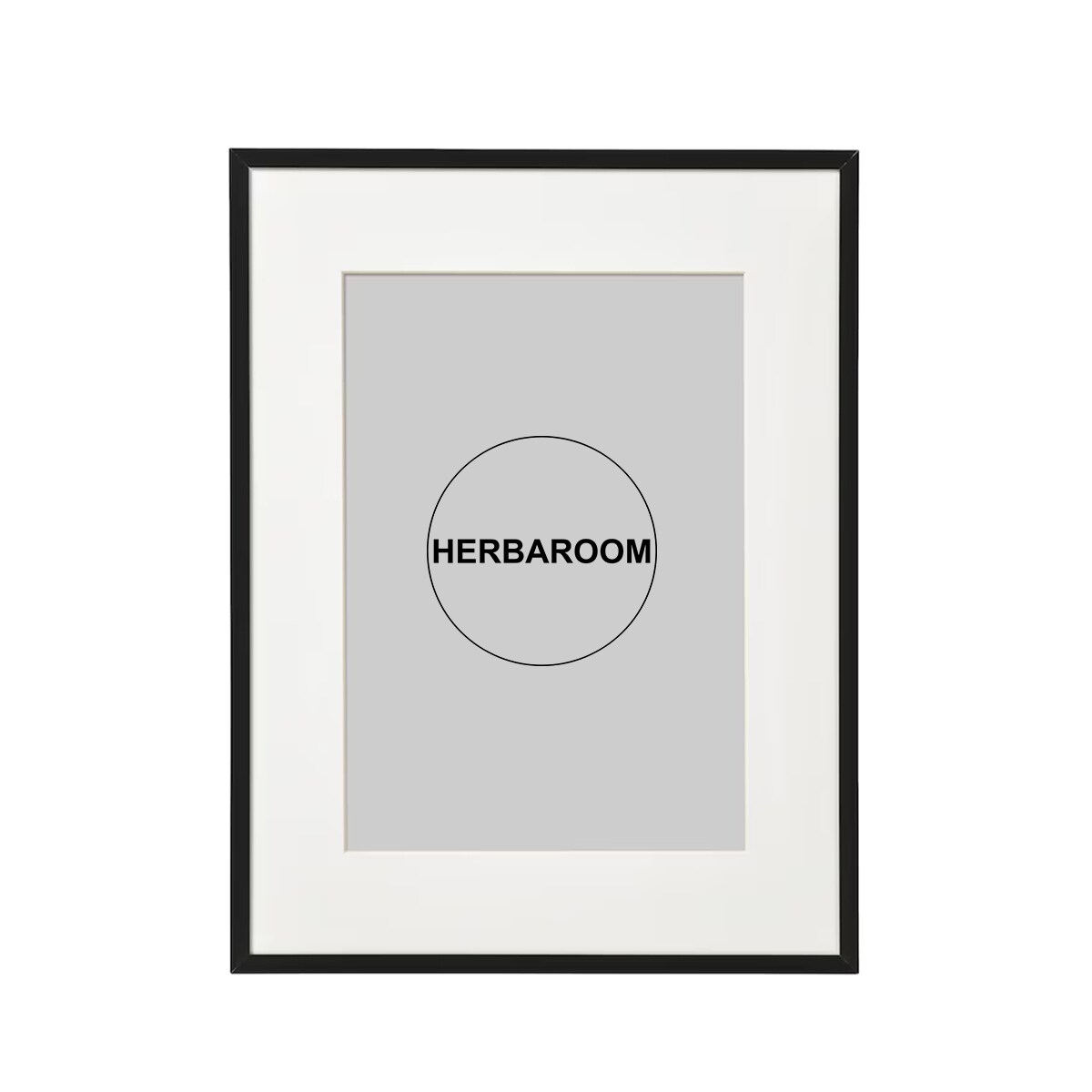 Plakat Amaryllis w Czarnej Ramce