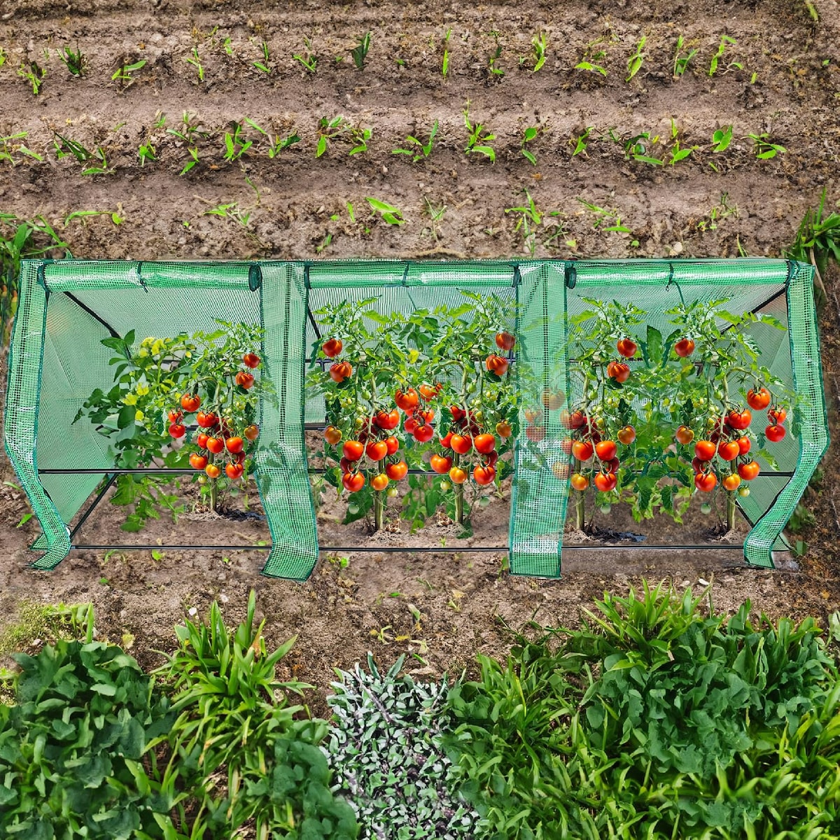 Mini Szklarnia Ogrodowa 270 X 90 Do Uprawy Roślin Na Grządkę