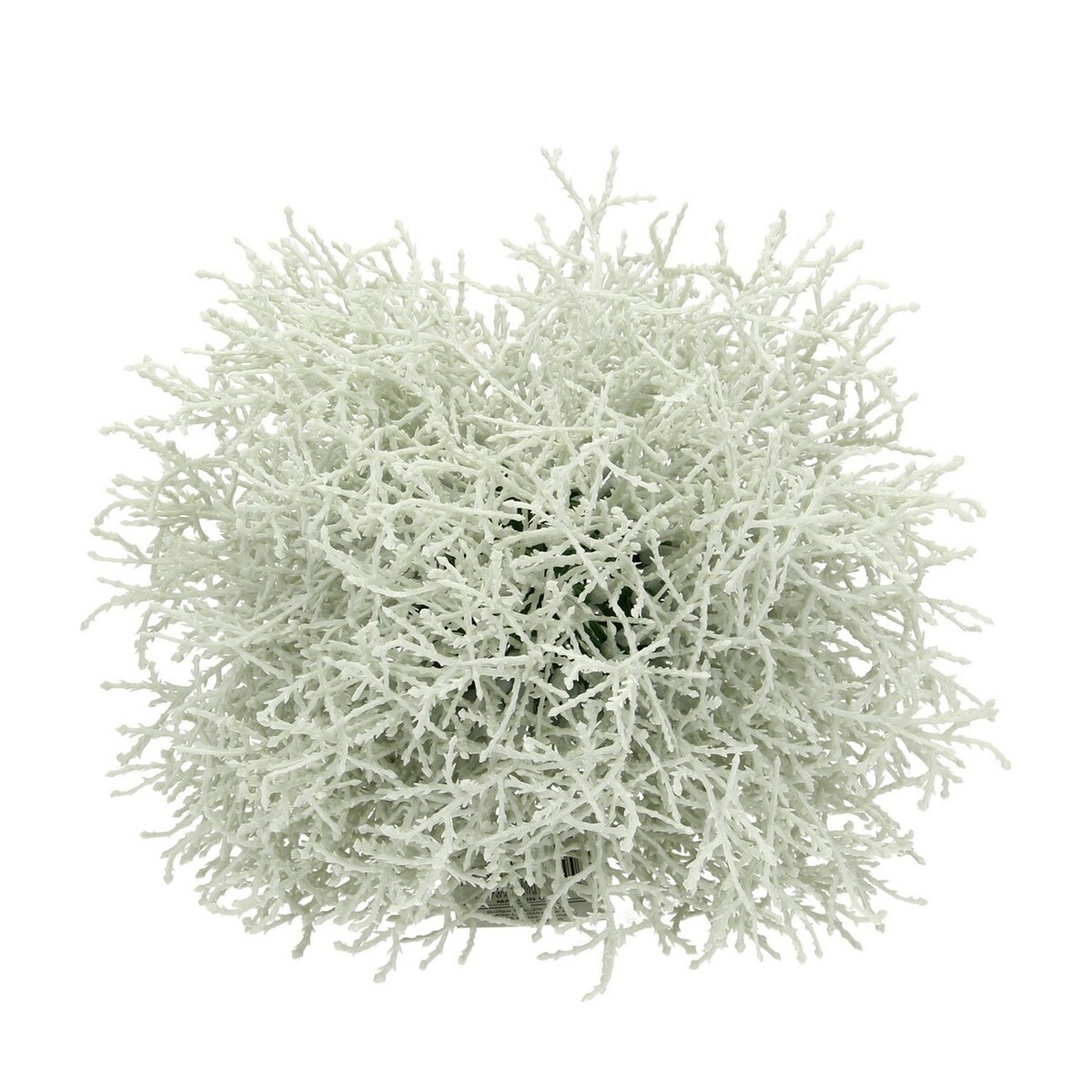 Dekoracja Grass ⌀20cm, 20 x 20 cm