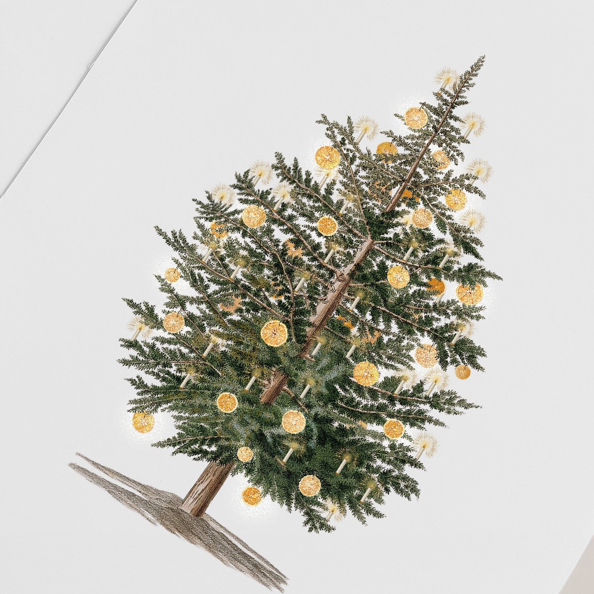 Plakat Choinka 21x30cm