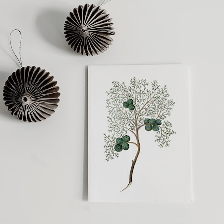 Plakat Cyprys 21x30cm