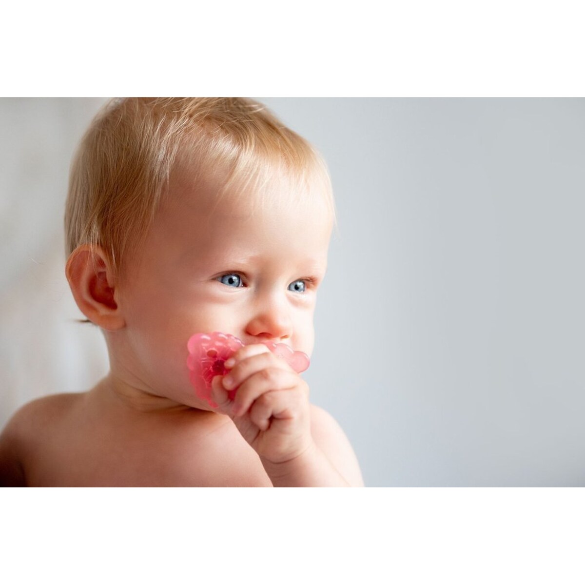 Gryzak dla niemowlaka, Różowa Malina, RaZbaby