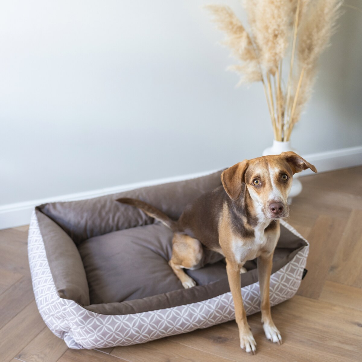 Stylowe legowisko dla kota OTTO, 60x40 cm, Brąz