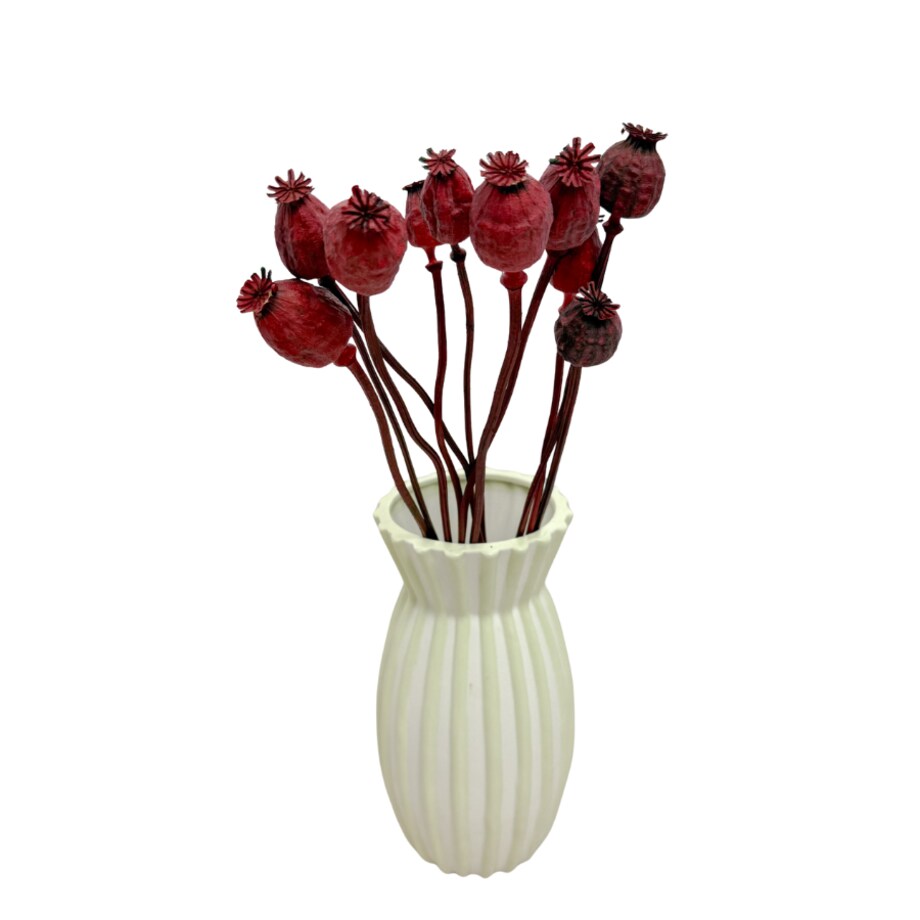 Suszone makówki czerwone - suszone kwiaty 10-12 szt. - bukiet