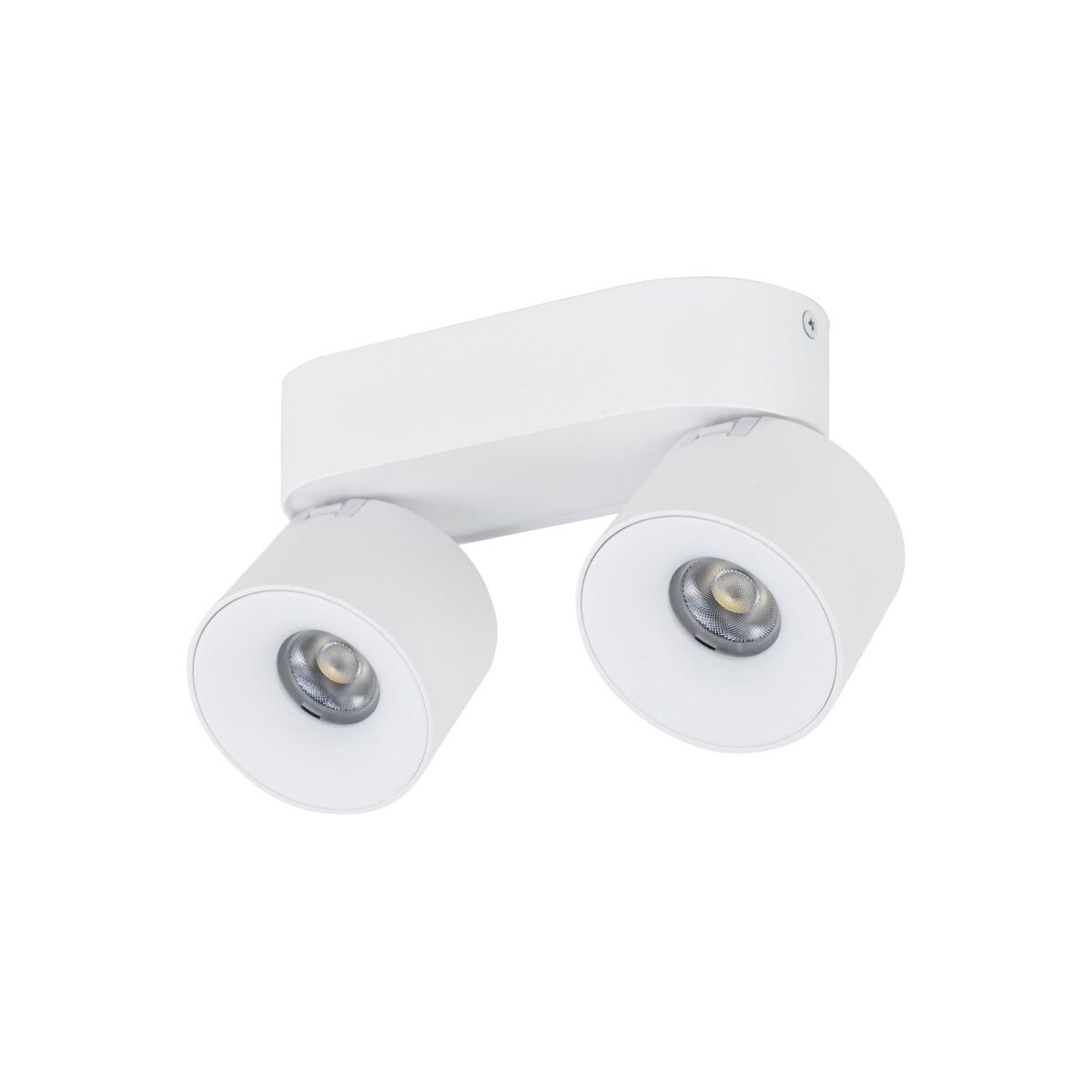 Lampa sufitowa LED TK Lighting SPARK DUO WHITE CCT 20W biała, podwójny reflektor spot regulowany 18171
