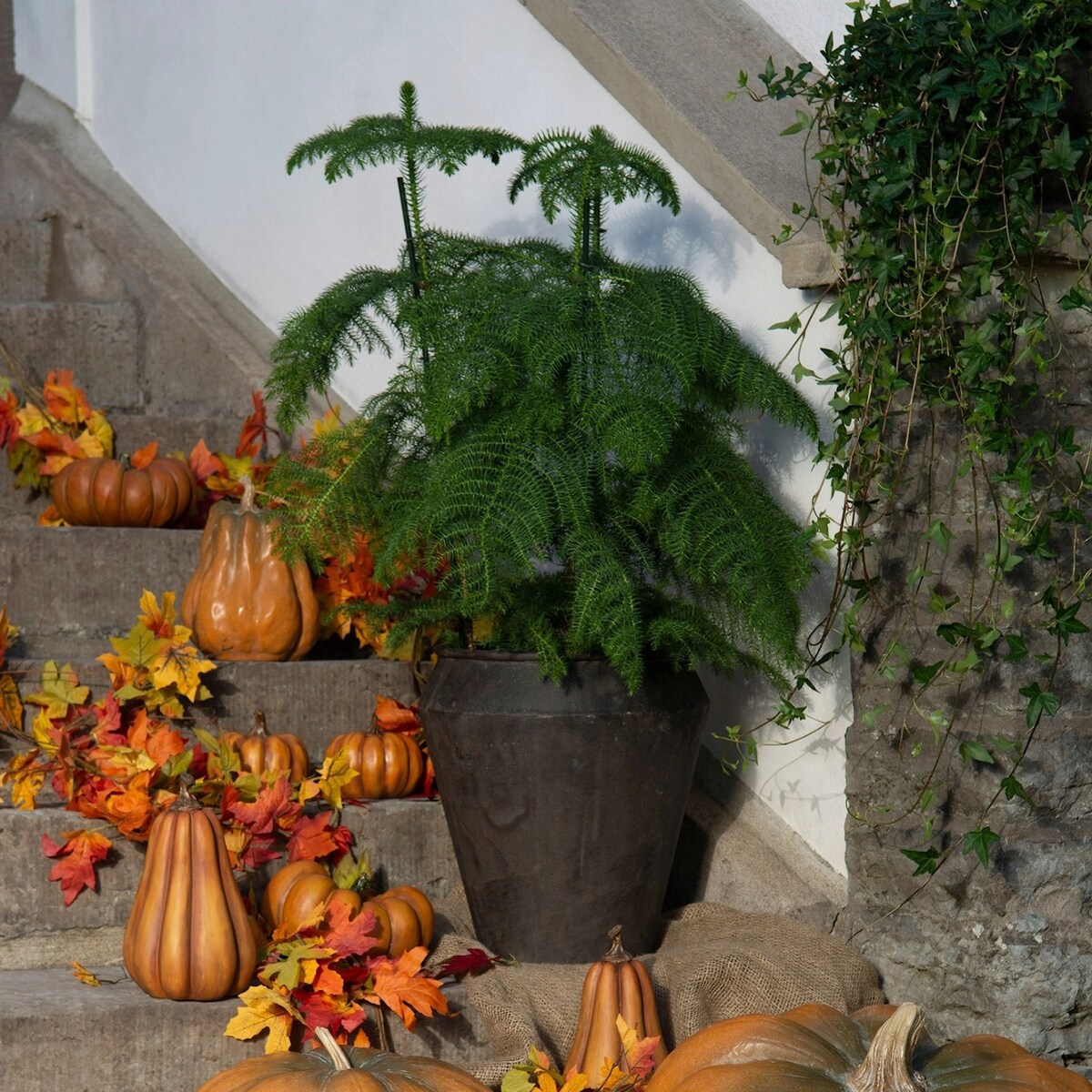 DONICZKA NA BALKON TARAS PARAPET DUŻA LOFT DO OGRODU PALMY 40cm 2 szt.