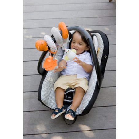 Sensoryczna spirala aktywności - farma