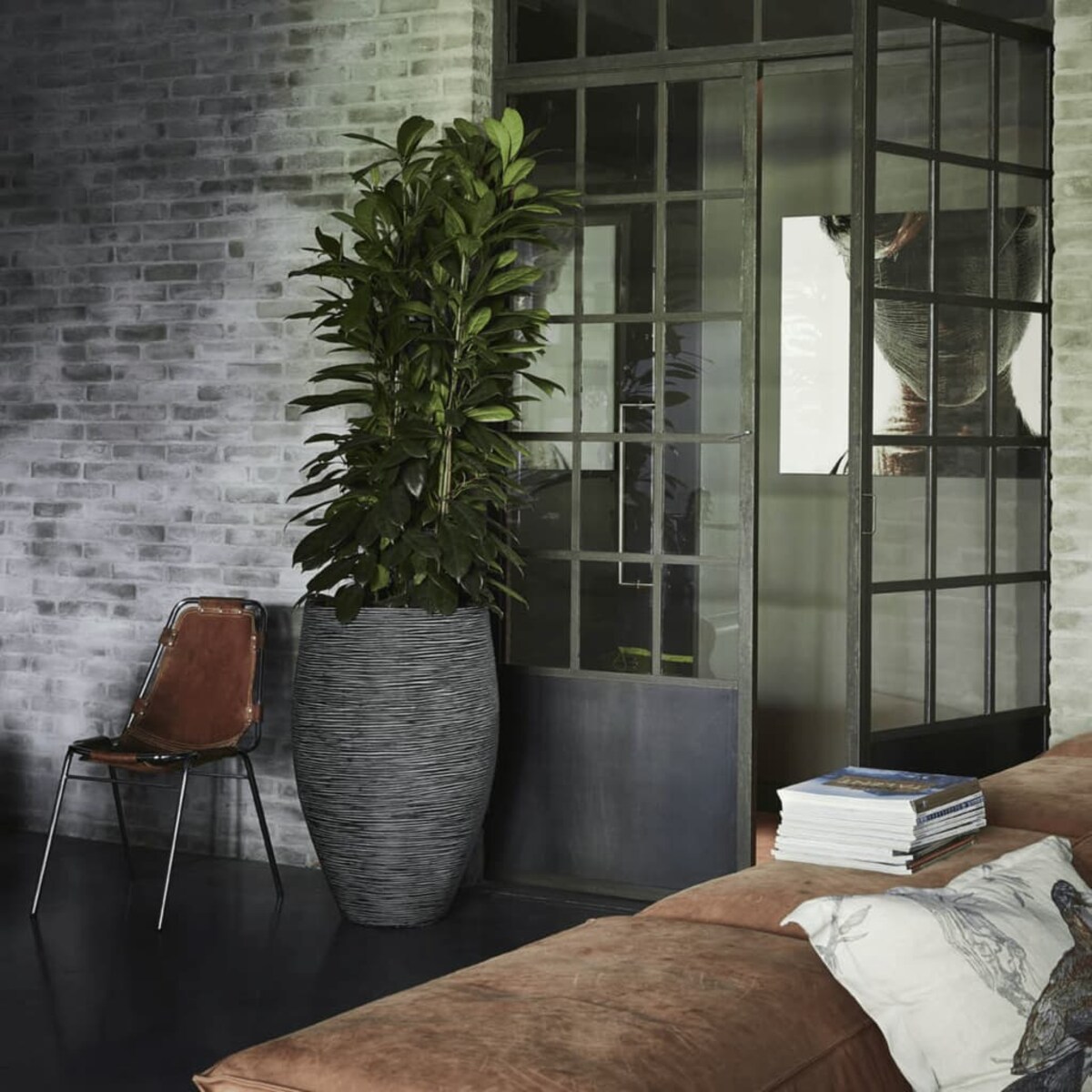 Capi Donica Nature Rib Deluxe, 40x60 cm, antracytowa, KOFZ1131