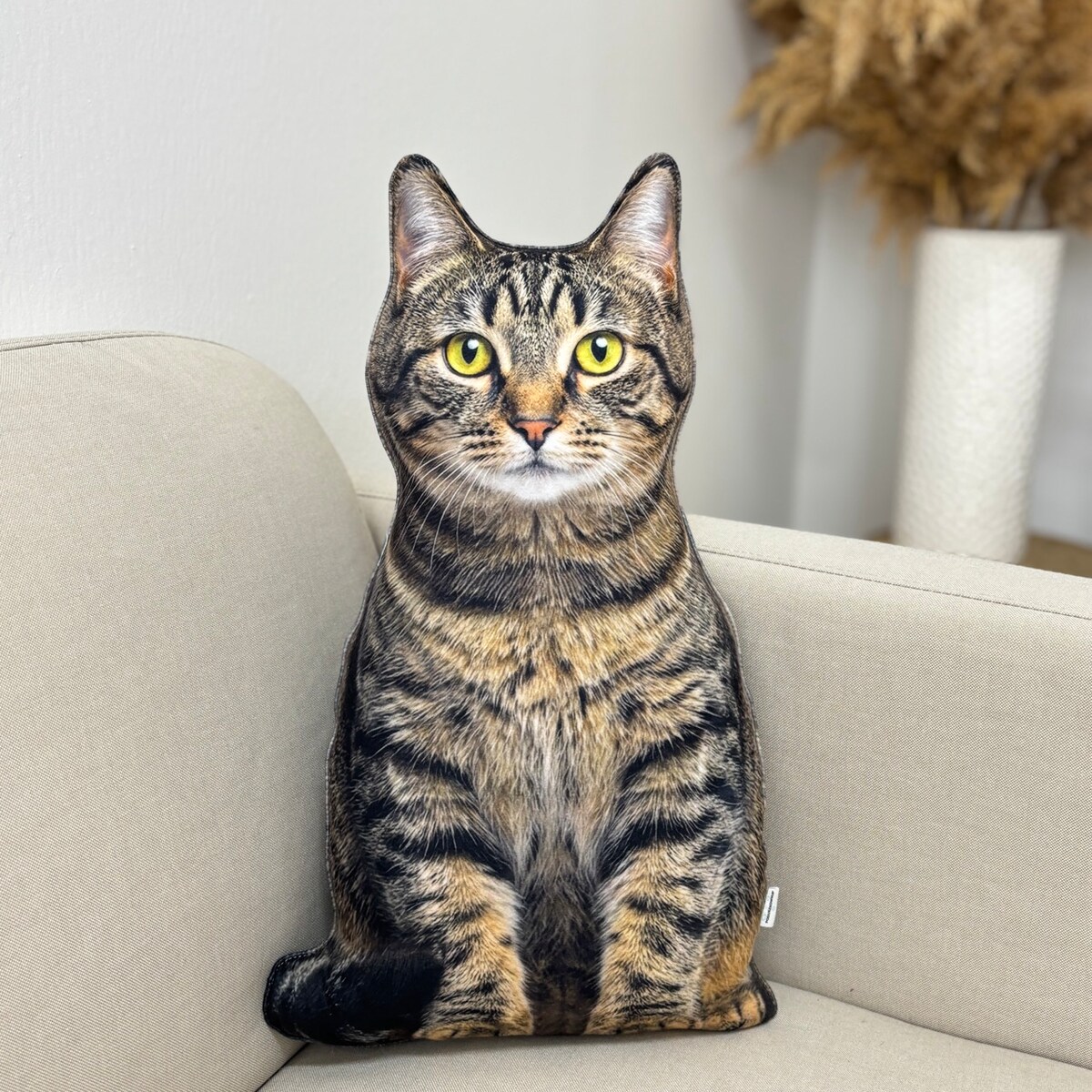 Poduszka Kot domowy pręgowany dachowiec tabby