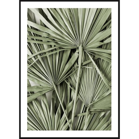 Poster Story, Plakat, Obraz - Zielone Liście Palmy, wymiary 21 x 30 cm