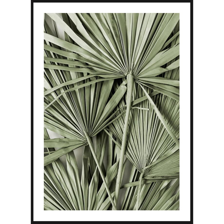 Poster Story, Plakat, Obraz - Zielone Liście Palmy, wymiary 21 x 30 cm