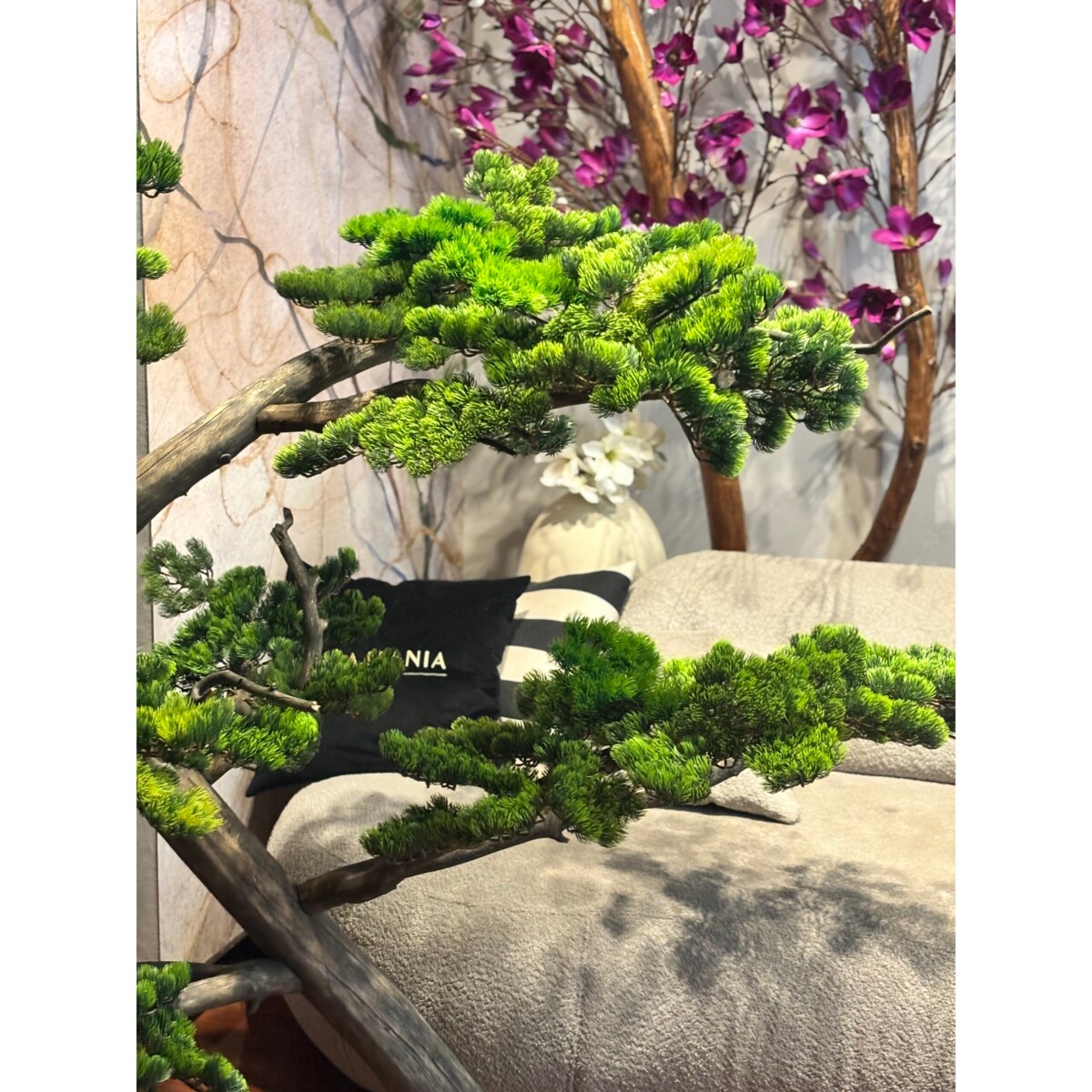 Bonsai na naturalnym pniu 150 cm.