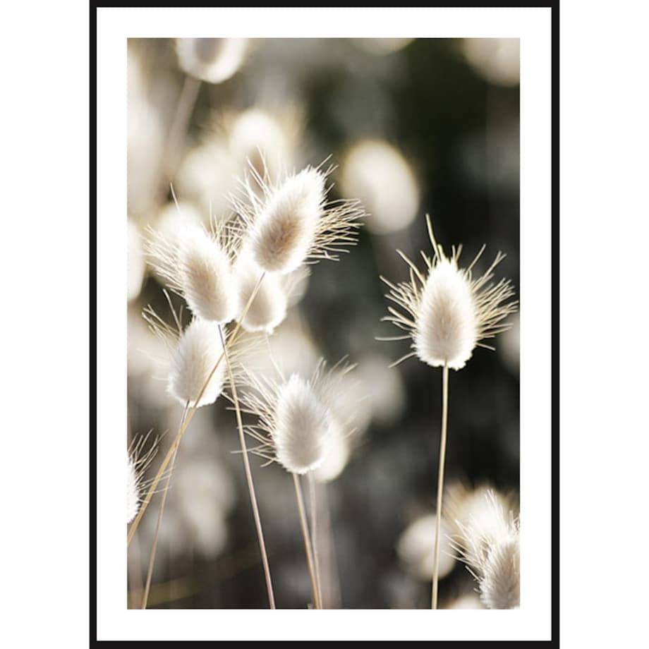 Poster Story, Plakat, Obraz - Wieczorne Letnie Pole No1, wymiary 21 x 30 cm