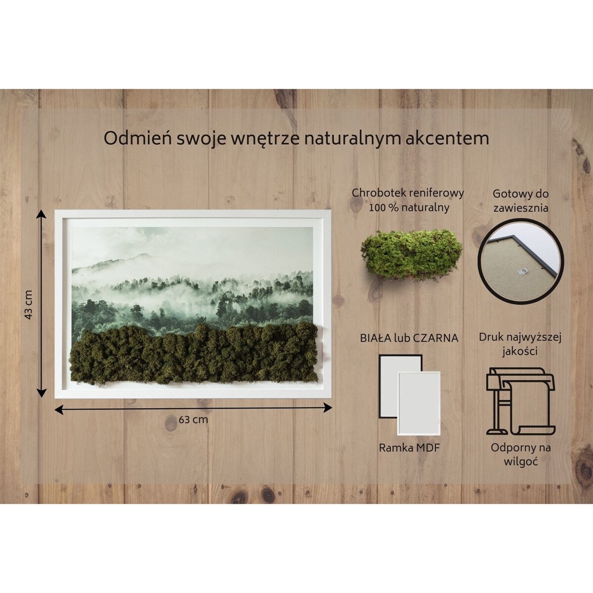 Obraz Las we mgle - mech chrobotek w białej ramie 60x40cm