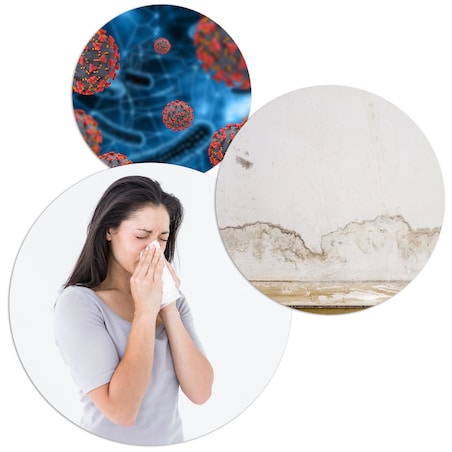 Osuszacz powietrza pochłaniacz wilgoci Berdsen