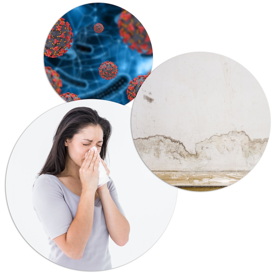 Osuszacz powietrza pochłaniacz wilgoci Berdsen