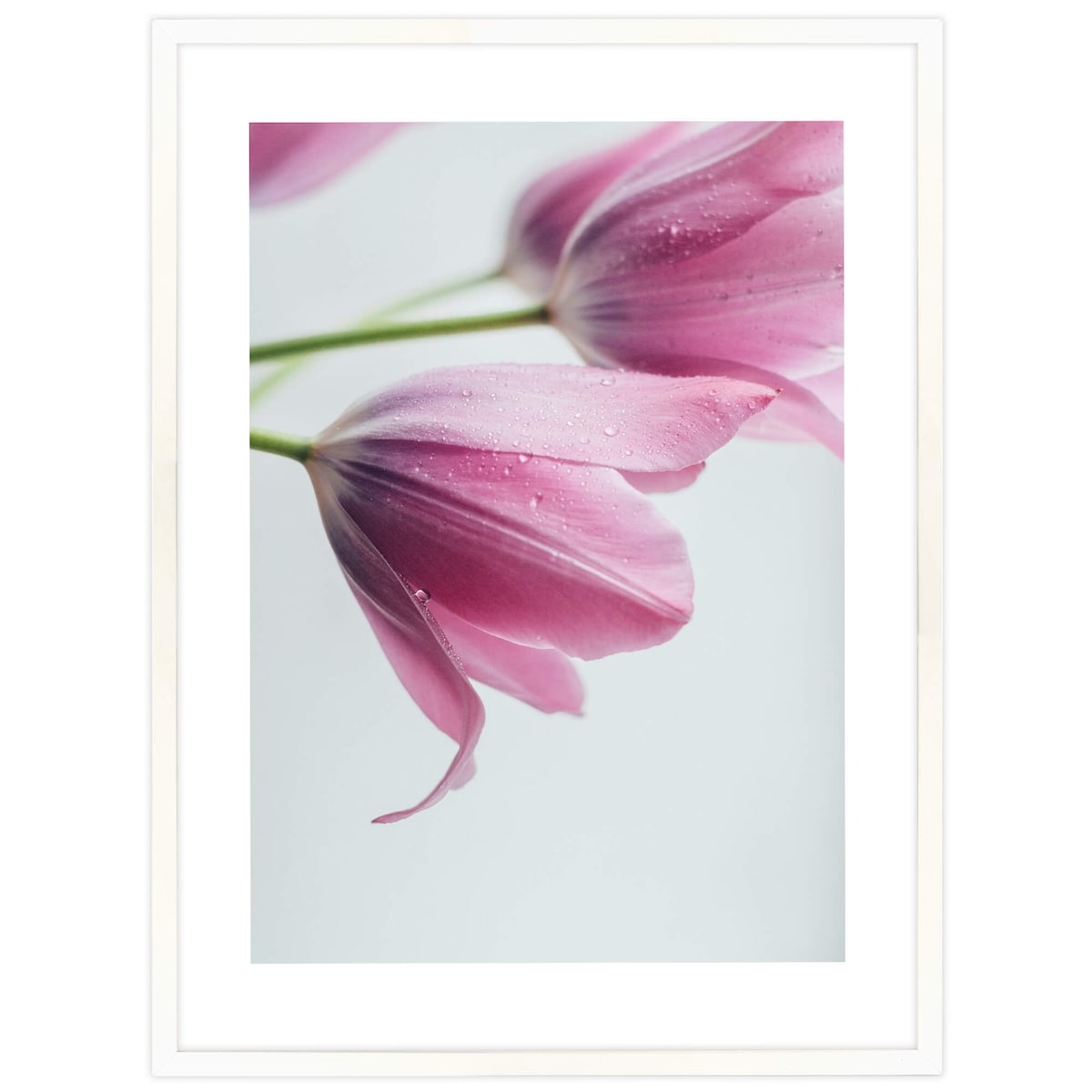 Ramka na zdjęcia 60x80 cm biała rama MDF z plexi do powieszenia pion poziom klasyczna ramka