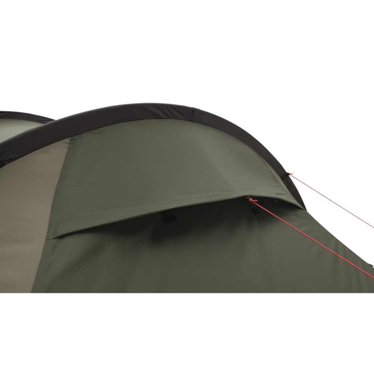 Easy Camp Namiot Magnetar 400, 4-osobowy, rustykalna zieleń