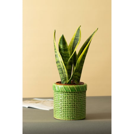 DONICA KOSZ ceramiczna zielona śr. 13cm