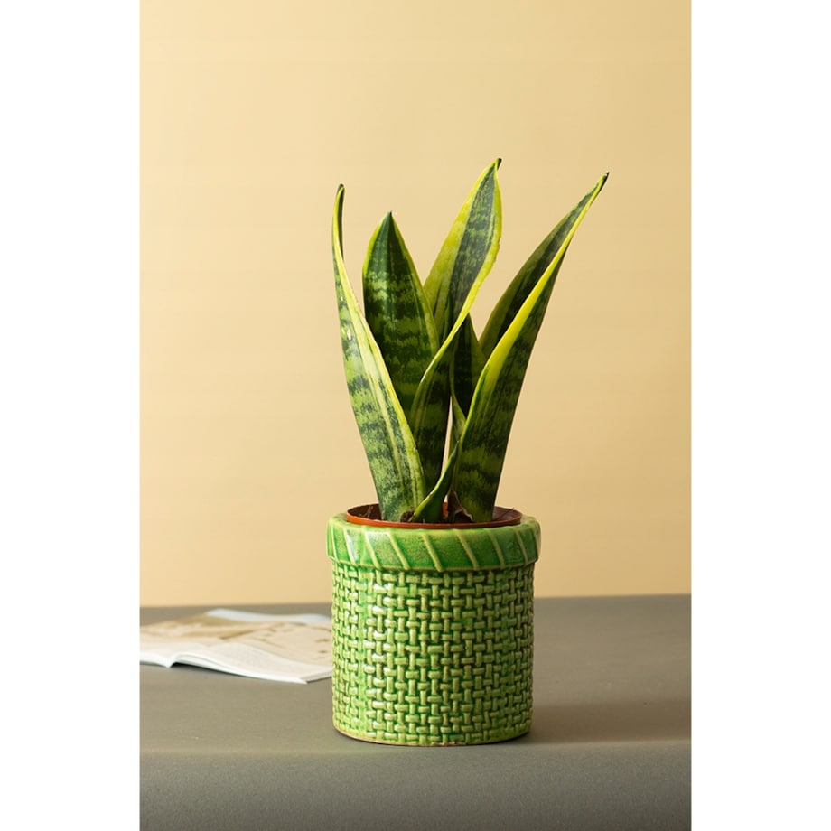 DONICA KOSZ ceramiczna zielona śr. 13cm