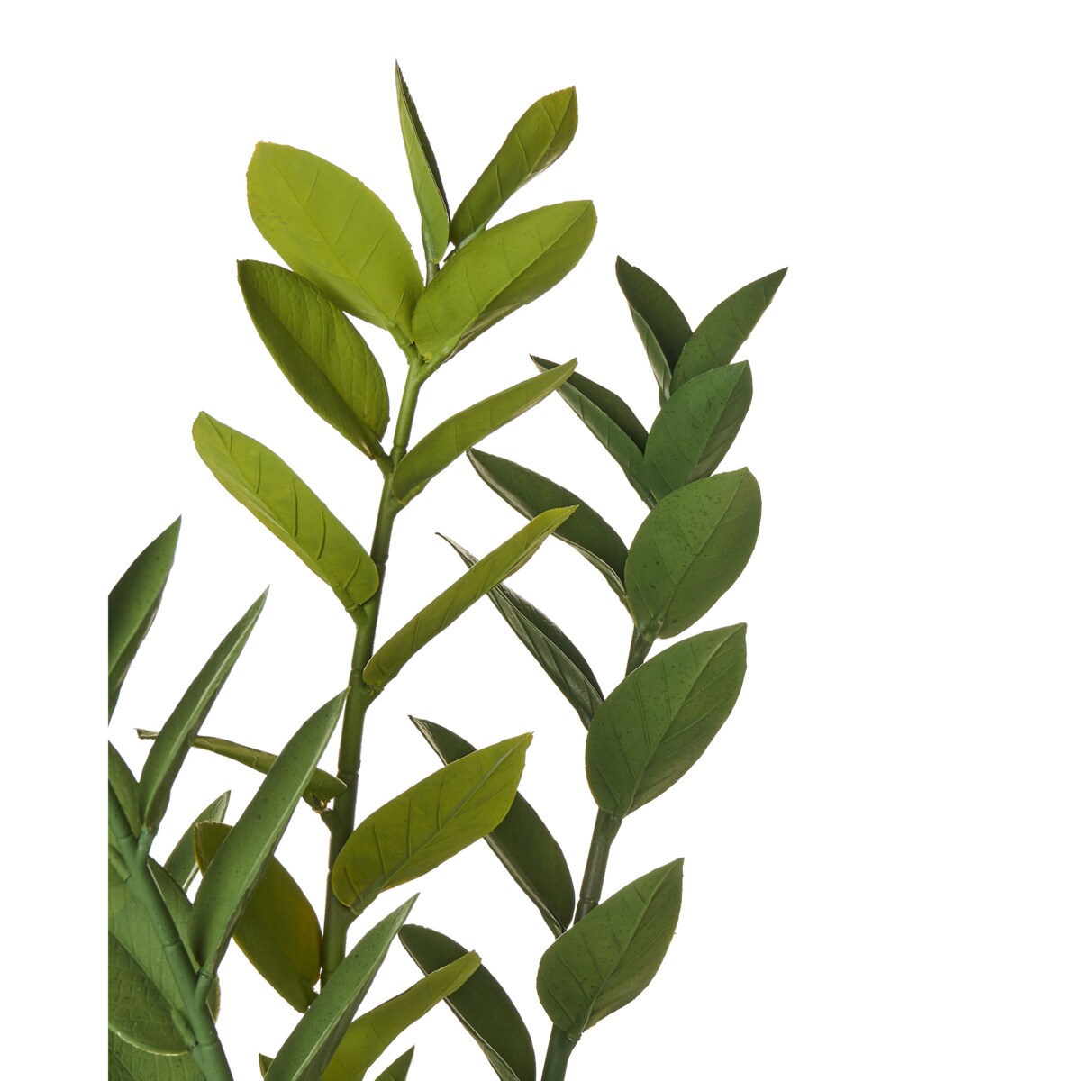 Sztuczna roślina ZAMIIFOLIA 76 cm Zielony