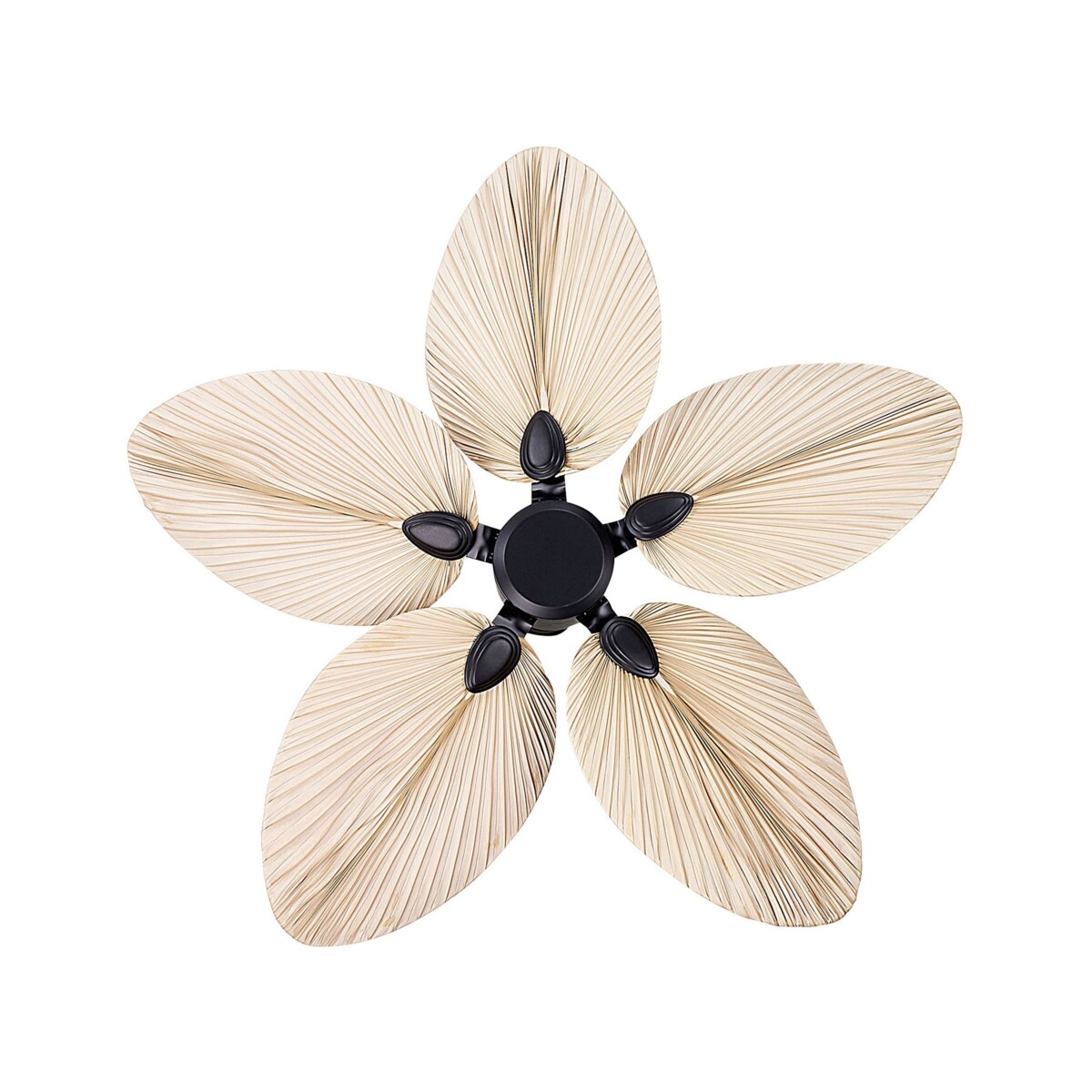 Wentylator sufitowy czarny z naturalnym MAMMOTH