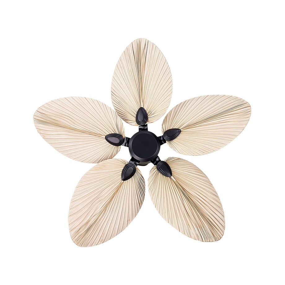 Wentylator sufitowy czarny z naturalnym MAMMOTH