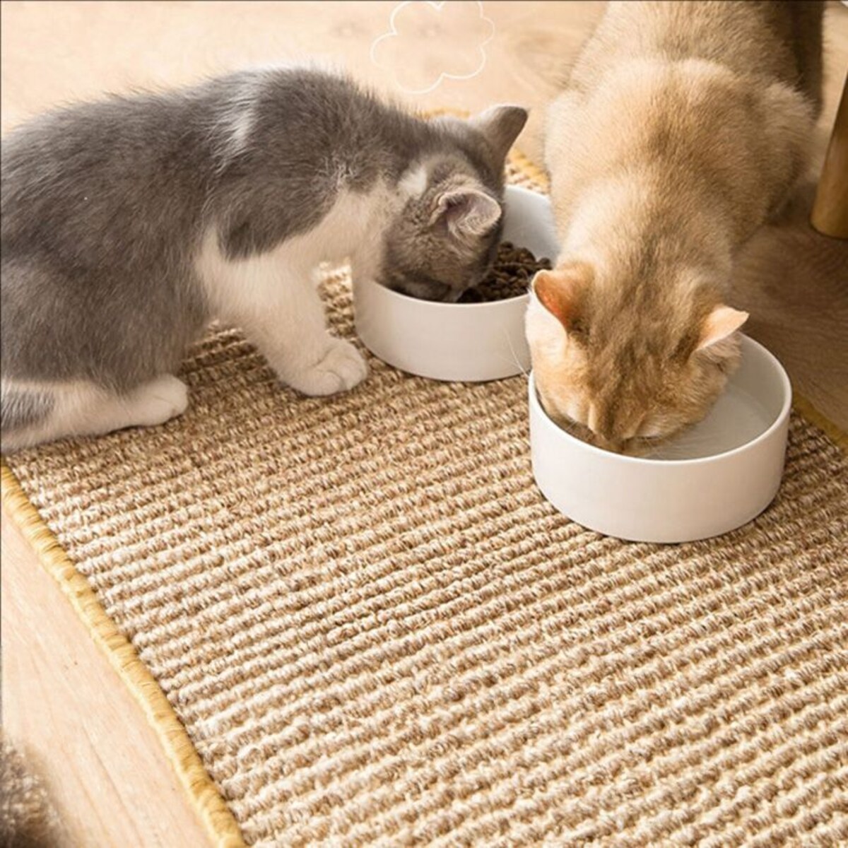 DRAPAK MATA DLA KOTA 60x40cm 332494