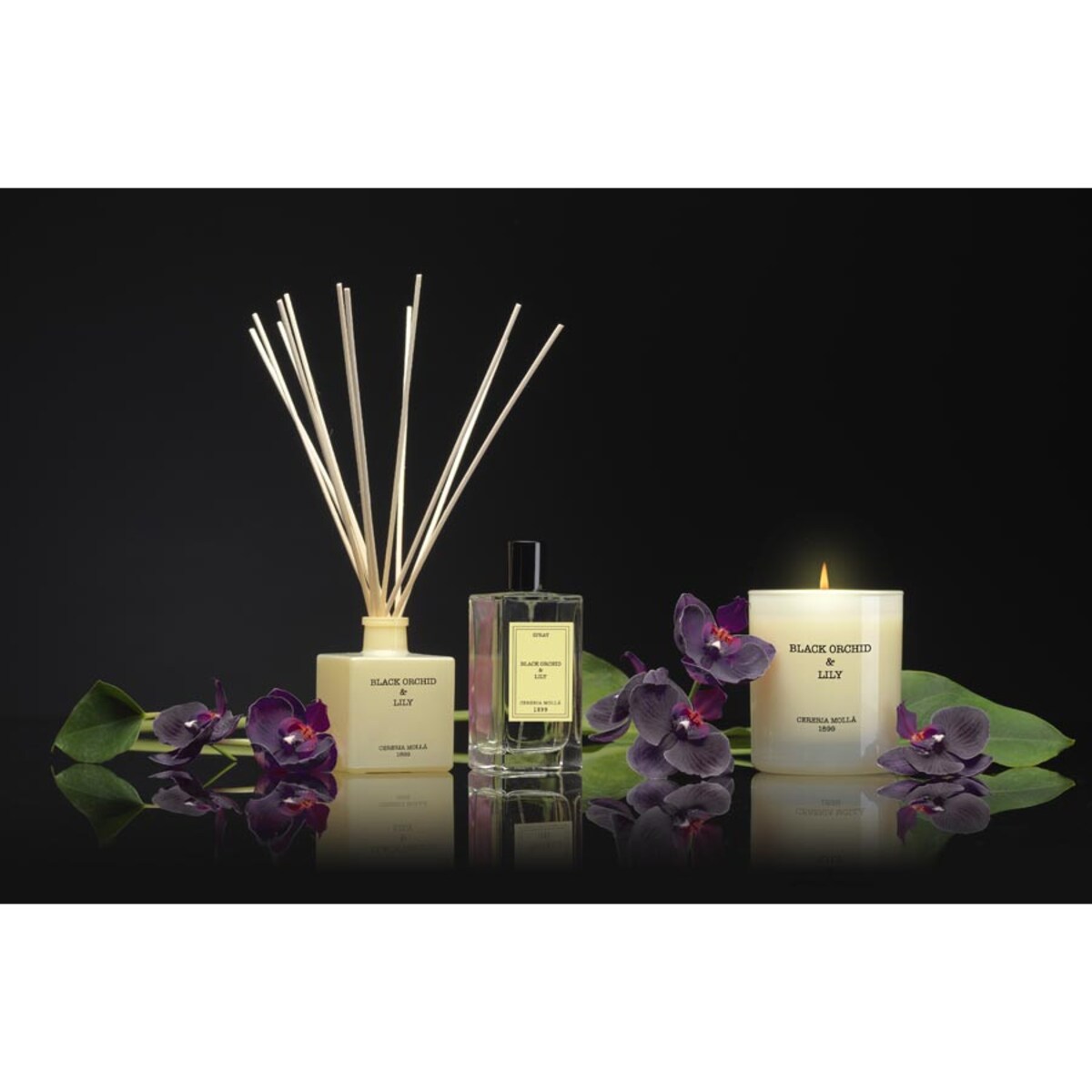 Dyfuzor zapachowy Black Orchid & Lily, 100 ml, Cereria Molla