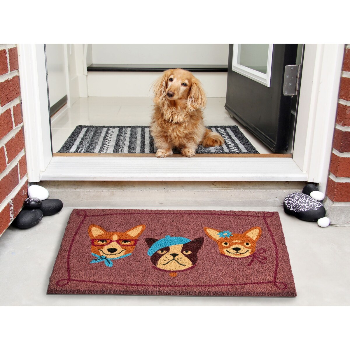 Wycieraczka BABABU Kolorowy 60 x 90 cm Pies Włókno kokosowe