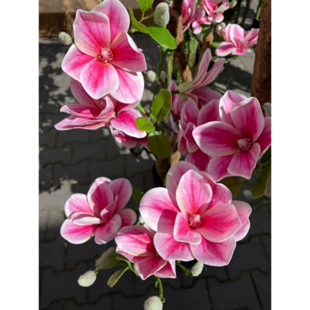 Sztuczne drzewko magnolii 180 cm