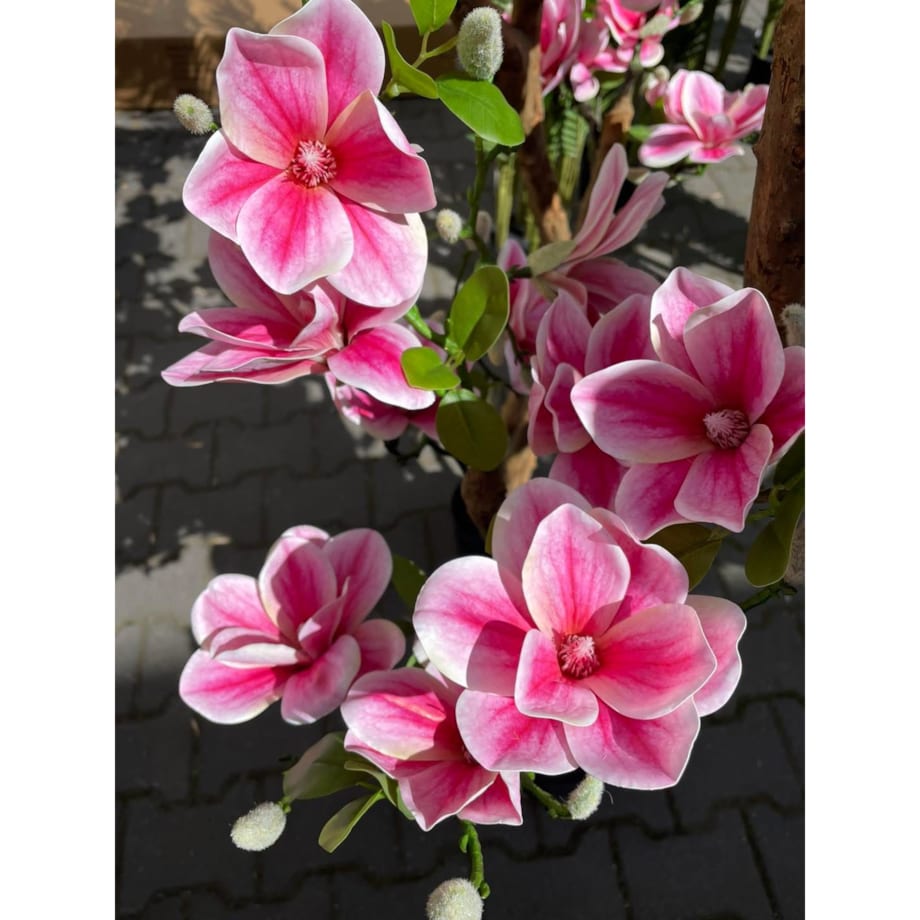 Sztuczne drzewko magnolii 180 cm